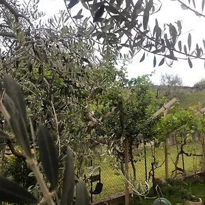 lago-di-garda-appartamentovacanze-bardolino.hotelinveneto.com/